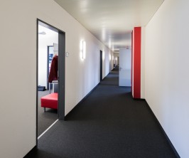 Im aufstrebenden und lebendigen Binzquartier in Zürich wird ab dem 1. Oktober 2025 oder nach Vereinbarung eine attraktive Büro- bzw. Gewerbefläche mit 1’111 m² vermietet. Im aufstrebenden und lebendigen Binzquartier in Zürich wird ab dem 1. Oktober 2025 oder nach Vereinbarung eine attraktive Büro- bzw. Gewerbefläche mit 1’111 m² vermietet.