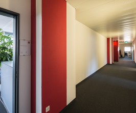 Im aufstrebenden und lebendigen Binzquartier in Zürich wird ab dem 1. Oktober 2025 oder nach Vereinbarung eine attraktive Büro- bzw. Gewerbefläche mit 1’111 m² vermietet. Im aufstrebenden und lebendigen Binzquartier in Zürich wird ab dem 1. Oktober 2025 oder nach Vereinbarung eine attraktive Büro- bzw. Gewerbefläche mit 1’111 m² vermietet.